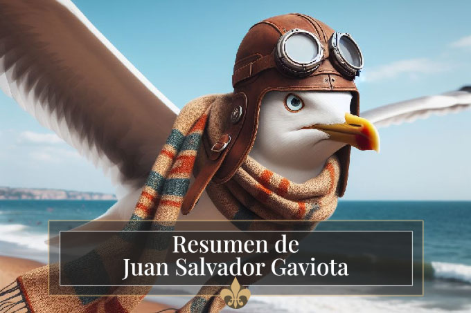 Resumen Corto de Juan Salvador Gaviota